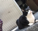 あなたの心の中の石ころ小さくします 心の何処かに引っかかるものがあるあなたへ イメージ3