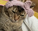 編み物代行してお編みいたします ワンちゃん（犬）ネコちゃん（猫）ベビー（赤ちゃん）ニット イメージ4