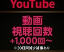 YouTubeの視聴回数+1000回まで宣伝します YouTubeを拡散、宣伝☆振り分けも可能です⭐︎ イメージ1