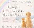虹の橋のあの子の気持ちを優しく読み解きます あの子から飼い主様へ届く優しいメッセージ イメージ1