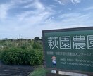 スマホ一台でお店や会社のPR動画作成します 動画撮影編集音楽挿入SNS配信まで、スマホ一台でお安く提供 イメージ7