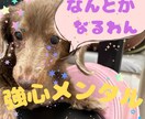 強心メンタルの僕が✨あなたをポジティブにさせます 女性限定♡ネガティブ/メンヘラ/エネルギー補給など✨ イメージ1