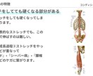 資料を用いて成長期の発達過程をお伝えします 成長期の伸び代を逃さない！アスリートキッズの親は絶対知って！ イメージ9