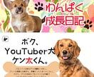 動物が主役のヘッダー、バナーをデザインします 愛するペット画像であなたメディアをさらに盛り上げませんか？ イメージ4