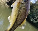 初めての釣りをアドバイス致します お子様と初めての釣りのアドバイス致します。 イメージ2