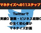 Twitterでのマネタイズ方法を教えます 実績0 副業・ビジネス経験0の全くの初心者でもできます。 イメージ1