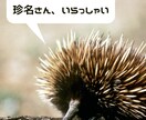 珍名がコンプレックスなあなたのお話聞きます 自分ではどうしようもないから、困っちゃうんですよね、名前… イメージ1