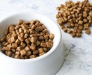 愛犬の【フード】をご提案させていただきます 体質やライフスタイルに合わせたフード選び イメージ1