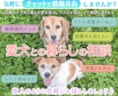 愛犬との暮らし、リアルな日常の相談お聞きします シニア犬と暮らす愛犬家がお伺い｜フード・ケア・日常の悩み イメージ1