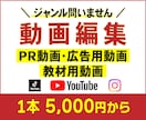 最短納期！動画編集・制作します SNS集客を3分以内で魅力を伝えます イメージ1