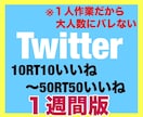Twitter拡散！Twitter宣伝します ▶︎1週間毎日10RT10いいね〜50RT50いいねします！ イメージ1