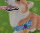 ペットを色鉛筆でリアルに描きます 大切な家族の思い出、記念にいかがですか イメージ3
