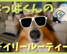 YouTubeのサムネイル、オールジャンル作ります 目に留まる色使いと素材配置で再生回数UPのお手伝いをします！ イメージ1