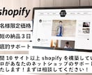 shopifyしかやりません！ECサイト構築します 月間制作実績10以上Shopifyのエキスパートによる構築 イメージ1