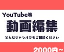 Youtubeなどシンプルな動画編集いたします 動画はあるけど編集で困ってる！そんな方向け！ イメージ1