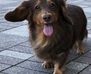 人物・動物を美しく見せるレタッチをします 現役レタッチャーによる人物の肌修整、写真全体の色補正 イメージ3
