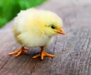 悩み・恋愛・子育て・話し相手になります 見方を変えれば、世界が変わる！ イメージ1