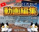 youtube動画編集承ります 各種SNS対応可。基本料金5000～スピード納品可能です。 イメージ1