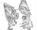 即日納品可能、画像を参考に鉛筆スケッチを描きます 画像を元にスケッチ画から全面カラーの絵画まで心温まる物に。 イメージ7