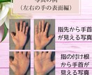 手相の全鑑定、最も詳細に鑑定します オリジナルカラーガイド&特別手相動画付きです イメージ3