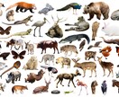 無制限Ver〜様々な生き物の飼育方法等を教えます 【犬猫だけがペットじゃないんです】 イメージ1