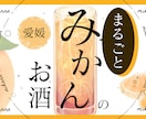 スピード納期!!最短1日!!でデザインします 最短1日で即納!!ご要望のオリジナルデザインの高品質バナー！ イメージ3