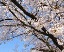 気軽に占いたい方、あなたの直感のカードで拝見します 48時間以内のお届けを頑張ります！お気軽に一件から見たい方へ イメージ1