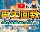 YouTube再生回数1000回増やします 再生回数+1000回増えるまでプロモーションします イメージ1