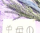 ラストお一人様！モニター価格であなたの未来占います 貴方の名前に込められたフトマニの導きを教えます。 イメージ5