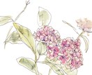 花や植物を描きます 華やかな挿絵やワンポイントになる水彩画を提供します。 イメージ5