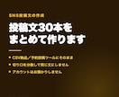SNSの投稿文30本をまとめて作ります CSVでお渡しします。投稿はお客様側でされる形です イメージ1
