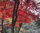 恋愛占い【彼の本音】本当の気持ちを霊視いたします 片思い中のあの人は運命の人？恋愛成就/復縁の未来へ向けて イメージ3
