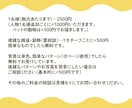とってもかわいい！似顔絵制作します 【お客様専用のページになります。】 イメージ2