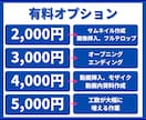 YouTube 動画編集します 話し手の人柄が120%伝わる動画制作 イメージ3
