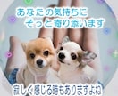 気楽にチャットで話しませんか？なんでも聞きます 悩んだり、愚痴りたくなったり…頑張ってるあなたに寄り添います イメージ5