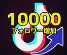 TikTokフォロワー10000人増加させます コスパ◎！安く高品質なフォロワーをあなたにご提供 イメージ1