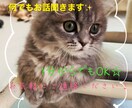 あなたの愚痴をゆっくりお聞きします 恋人、夫婦、義理の親、会社、育児の愚痴なのど話してスッキリ イメージ1