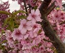 検討します 真面目に親身になってお話聞きます イメージ5