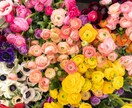 話して楽になりたい、ほっとしたい方のお話聞きます 繊細さんのあなたが大好きです！ イメージ3