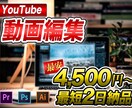 YouTuber編集経験最多映像制作します アニメーションやエフェクトまで動画編集ご相談ください！！ イメージ2
