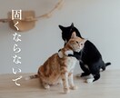 そばにいるよ♡ 話したいに 寄添います 心のホコリやチリを吐き出すことを日常に♡ イメージ4