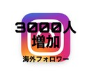 インスタ +3000人　海外フォロワー増やします 【集客・収益化】海外フォロワーの増加。 イメージ1
