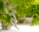 会社運鑑定 現在の状態と方向性をお伝えします リーディングで不調の原因を解明し、会社の運気が分かります イメージ7