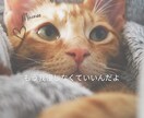 リピーターさん専用チャットサービス24となります 電話相談2回以上購入されたリピーター向け♡24時間3往復まで イメージ3