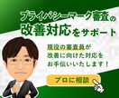 プライバシーマーク審査の改善対応をサポートします 現役のPマーク主任審査員が審査指摘事項への対応をお手伝い！ イメージ1