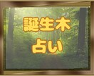 生まれたお日にちであなたの「トリセツ」作ります 日本ではまだ馴染みのない誕生木占い◇ひとつ試してみませんか？ イメージ1