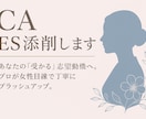 客室乗務員を目指す方へ⭐︎ES添削します 〜CA受験講座・ES／書類添削編〜 イメージ1