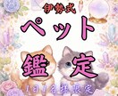 ペットと繋がり｜伊勢式霊視で気持ちをお伝えします 何を考えているのか、普段聞けない事がわかります イメージ1