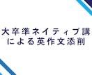 東大卒準ネイティブ講師が英作文を添削します 英作文を自分で丸付けしてもよくわからない方へ イメージ1