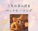 アニマルコミュニケーターがペットヒーリングをします ⭐︎オーダーメイドの遠隔気功ペットヒーリングで癒しをお届け☆ イメージ1